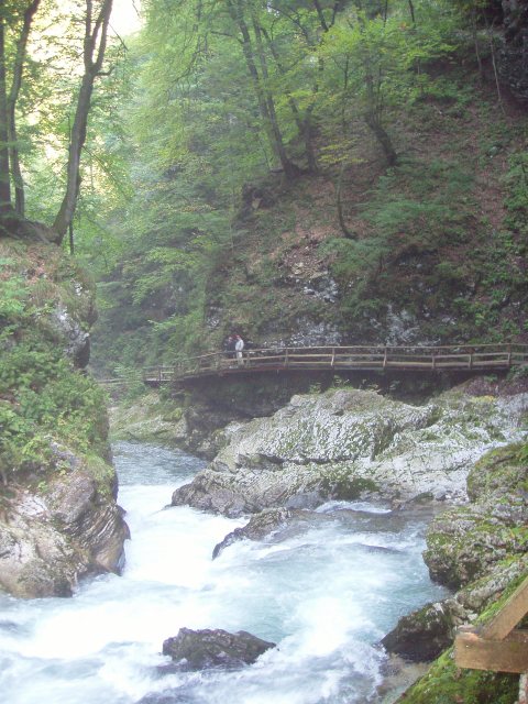 Bild# 83