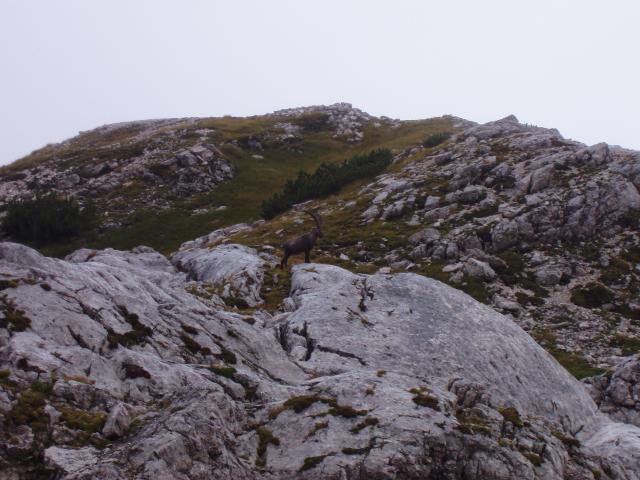 Bild# 35